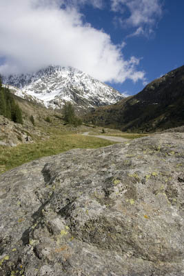 ob_sulztal-1-von-1-3.jpg