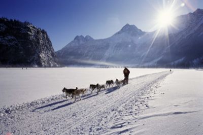 schlittenhunde_1.jpg