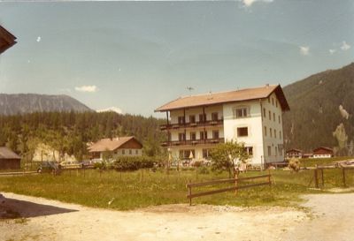 d005.jpg